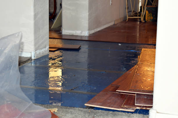 Professional Water Damage Restoration technician working in Buena Vista, MI